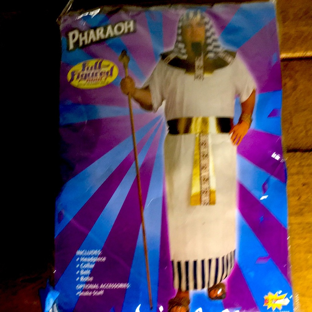 Pharaoh adult custome